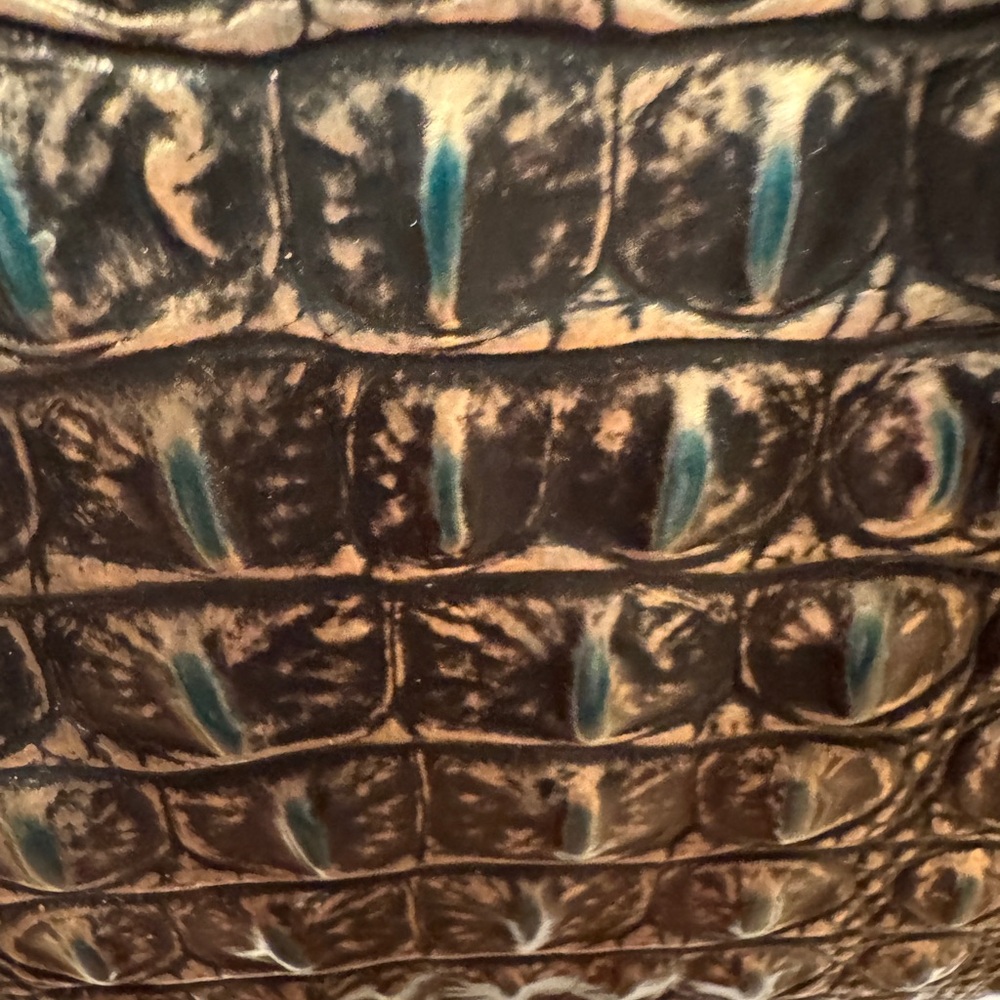 Beautiful Brahmin purse - Picture 11 of 12